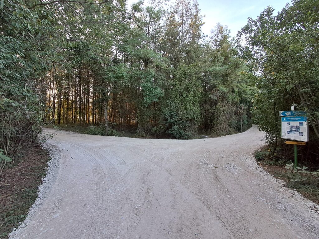 Schotterstraße im Vordergrund dahinter grüne Bäume